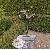 Gazon jardin Gazon jardin