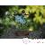 Gazon jardin Gazon jardin