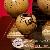 Meuble decoration pays Meuble decoration pays