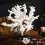 Meuble decoration pays Meuble decoration pays