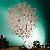 Meuble decoration pays Meuble decoration pays