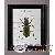 Meuble decoration pays Meuble decoration pays