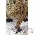 Meuble decoration pays Meuble decoration pays