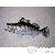 Poissons corail Poissons corail