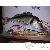 Poissons corail Poissons corail